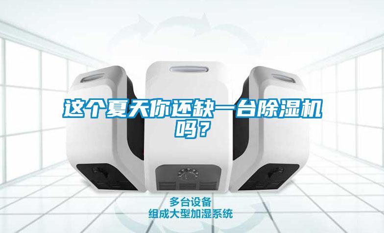 這個夏天你還缺一臺除濕機嗎？