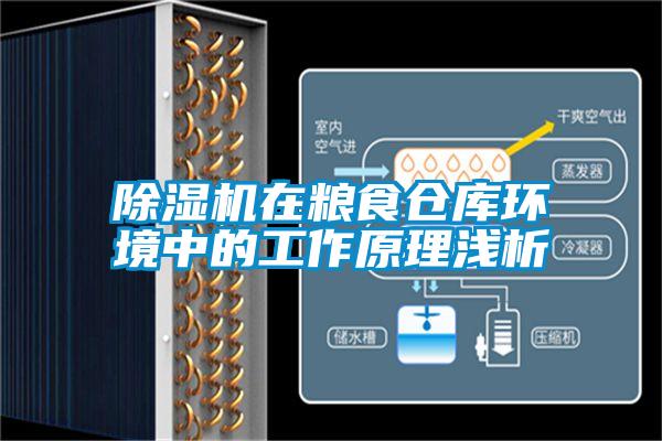 除濕機(jī)在糧食倉庫環(huán)境中的工作原理淺析