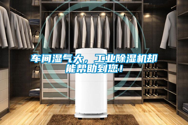 車間濕氣大，工業除濕機卻能幫助到您！