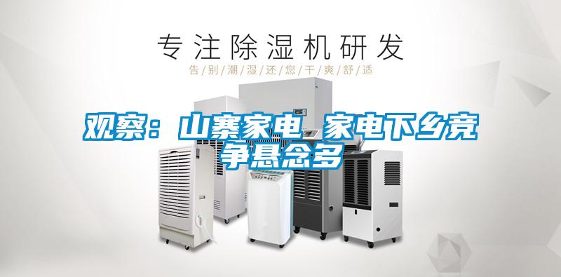觀察：山寨家電 家電下鄉競爭懸念多