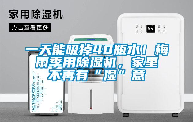 一天能吸掉40瓶水！梅雨季用除濕機，家里不再有“濕”意