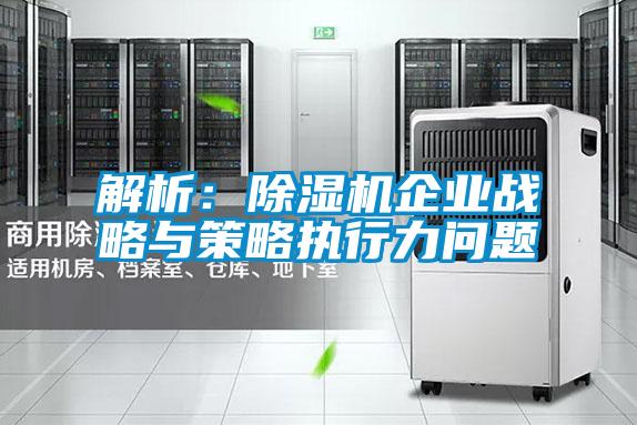 解析：除濕機(jī)企業(yè)戰(zhàn)略與策略執(zhí)行力問(wèn)題