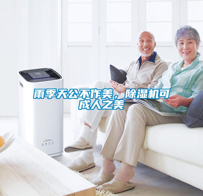 雨季天公不作美，除濕機可成人之美