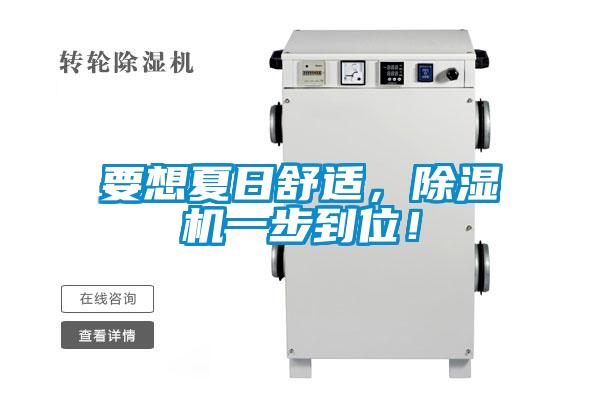 要想夏日舒適，除濕機(jī)一步到位！