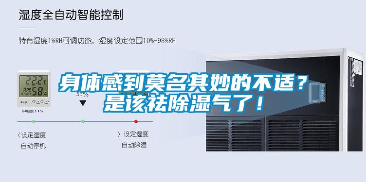 身體感到莫名其妙的不適？是該祛除濕氣了！