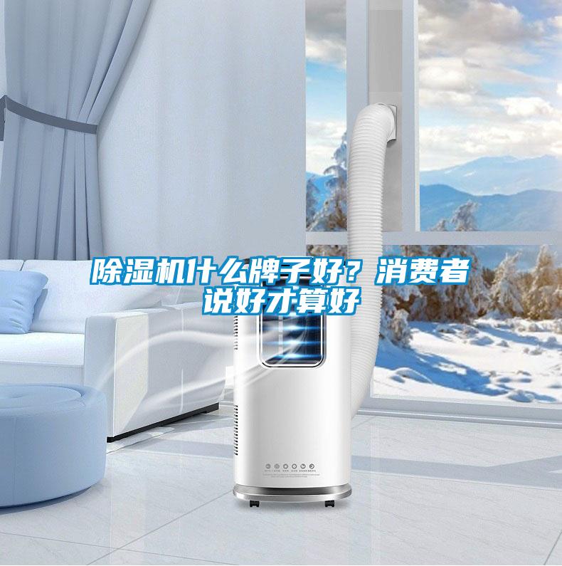 除濕機什么牌子好？消費者說好才算好
