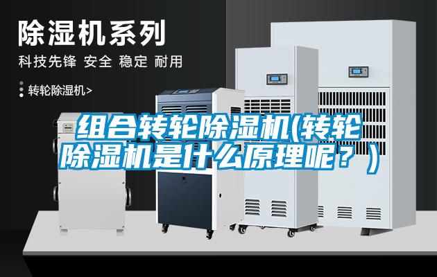 組合轉(zhuǎn)輪除濕機(轉(zhuǎn)輪除濕機是什么原理呢？)