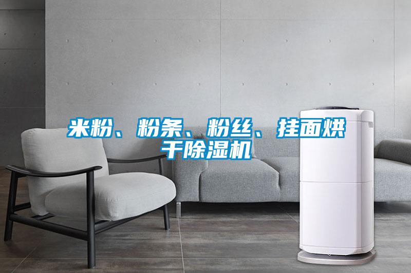 米粉、粉條、粉絲、掛面烘干除濕機