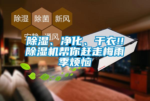 除濕、凈化、干衣!!除濕機幫你趕走梅雨季煩惱