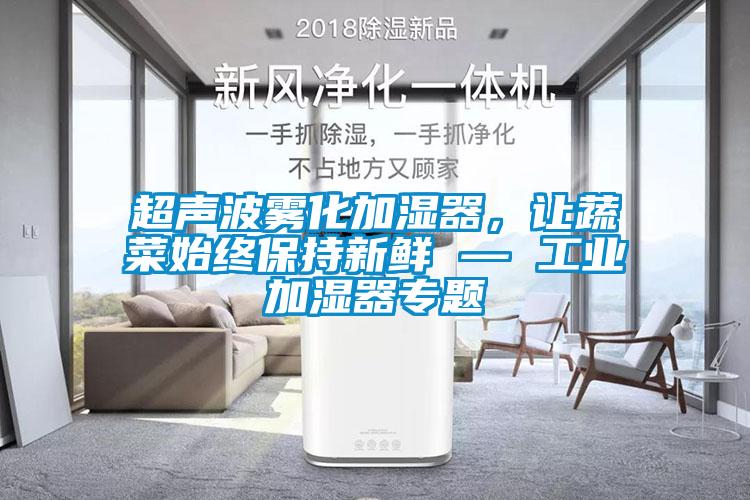 超聲波霧化加濕器，讓蔬菜始終保持新鮮 — 工業(yè)加濕器專題