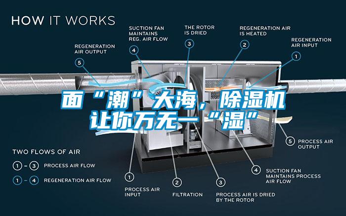 面“潮”大海，除濕機(jī)讓你萬無一“濕”