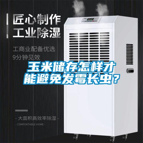 玉米儲存怎樣才能避免發(fā)霉長蟲？