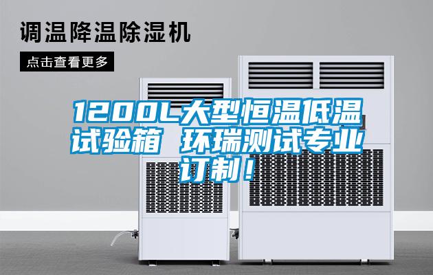 1200L大型恒溫低溫試驗(yàn)箱 環(huán)瑞測試專業(yè)訂制！