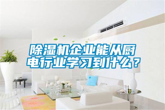 除濕機(jī)企業(yè)能從廚電行業(yè)學(xué)習(xí)到什么？