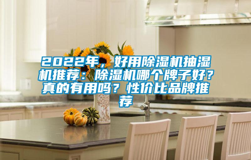 2022年，好用除濕機抽濕機推薦：除濕機哪個牌子好？真的有用嗎？性價比品牌推薦