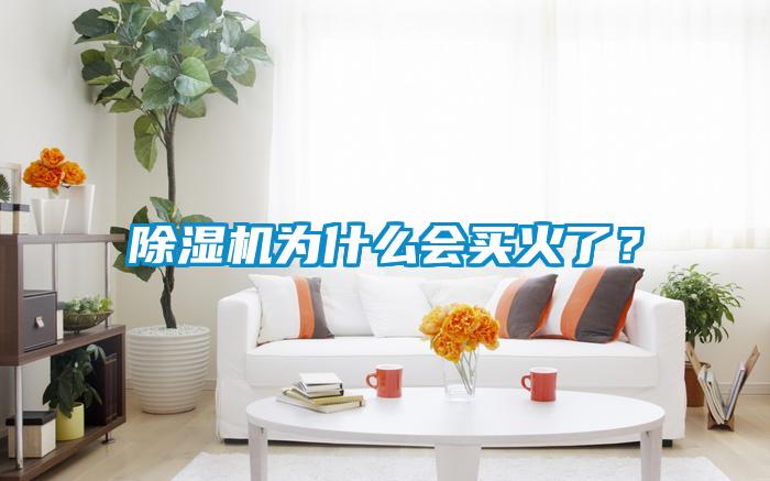 除濕機(jī)為什么會(huì)買火了？