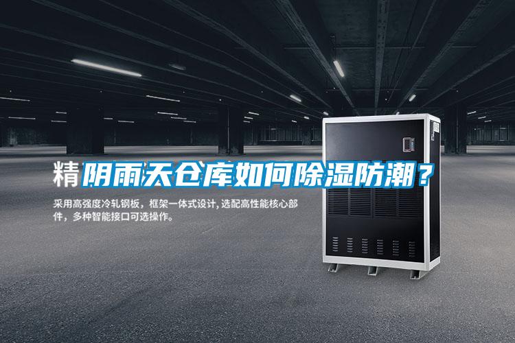 陰雨天倉庫如何除濕防潮？