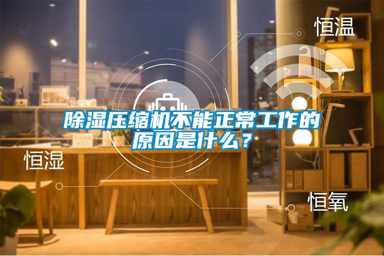 除濕壓縮機(jī)不能正常工作的原因是什么？