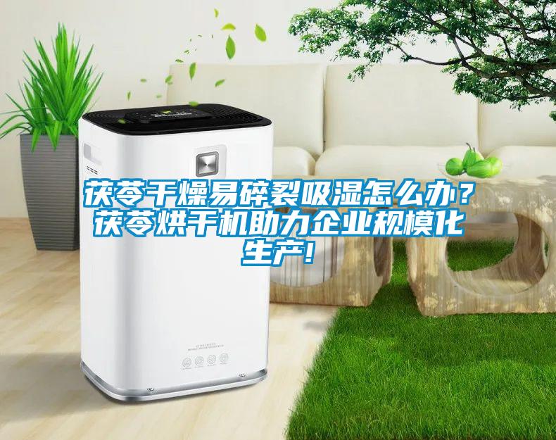 茯苓干燥易碎裂吸濕怎么辦？茯苓烘干機助力企業規?；a!