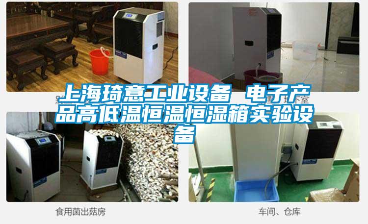 上海琦意工業設備 電子產品高低溫恒溫恒濕箱實驗設備