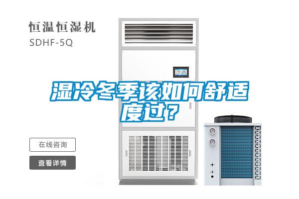 濕冷冬季該如何舒適度過？