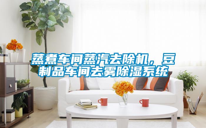 蒸煮車間蒸汽去除機(jī)，豆制品車間去霧除濕系統(tǒng)