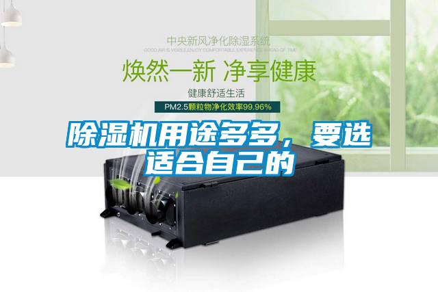 除濕機(jī)用途多多，要選適合自己的