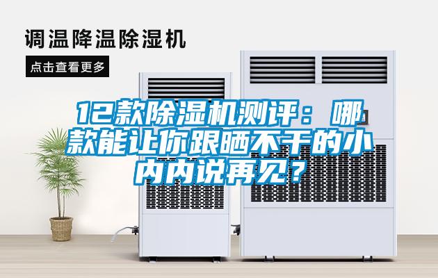 12款除濕機(jī)測評：哪款能讓你跟曬不干的小內(nèi)內(nèi)說再見？