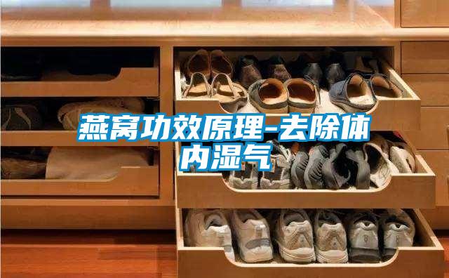 燕窩功效原理-去除體內濕氣