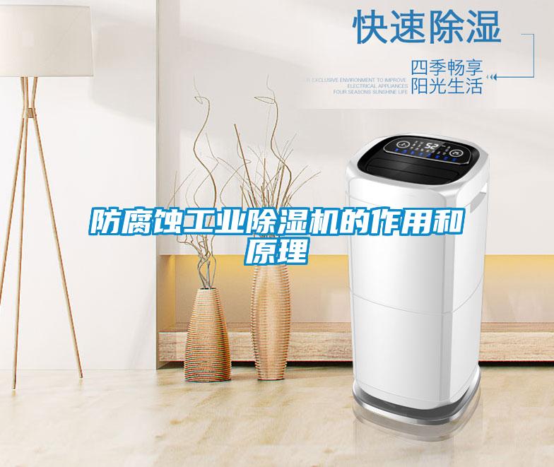 防腐蝕工業除濕機的作用和原理