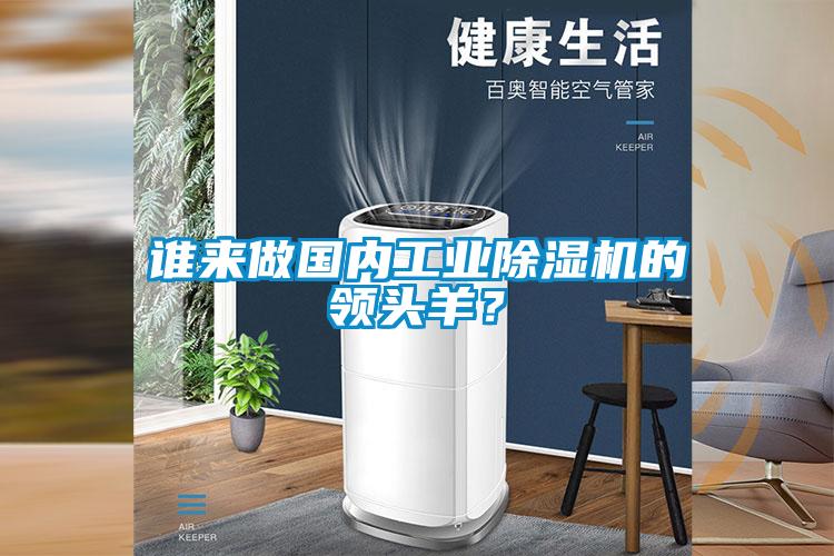 誰來做國內工業除濕機的領頭羊？