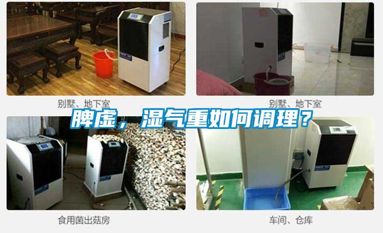 脾虛，濕氣重如何調理？