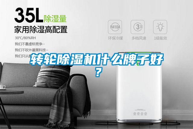 轉輪除濕機什么牌子好？