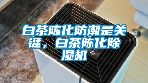 白茶陳化防潮是關(guān)鍵，白茶陳化除濕機(jī)