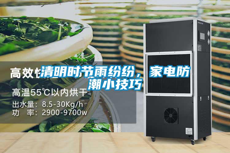 清明時節雨紛紛，家電防潮小技巧