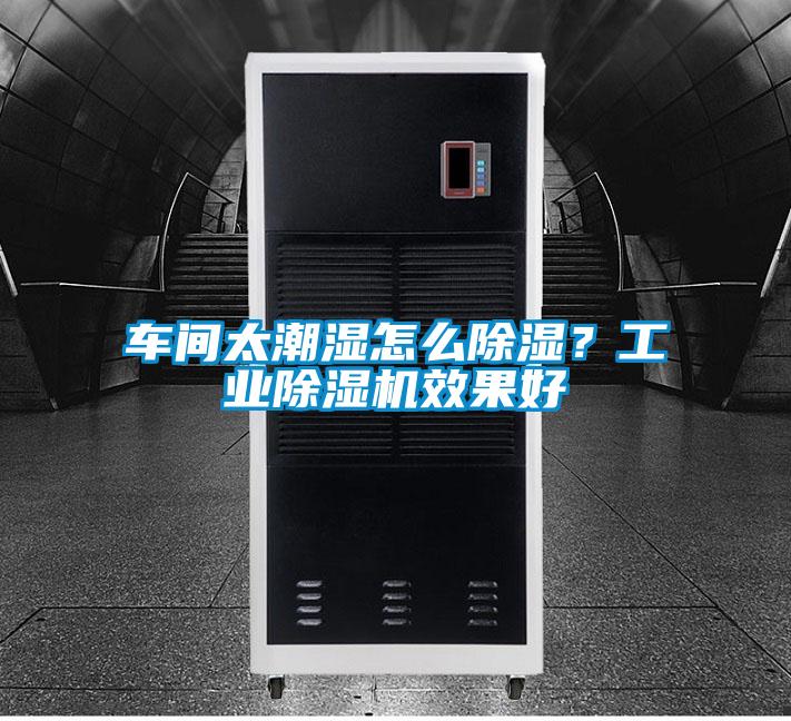 車間太潮濕怎么除濕？工業除濕機效果好