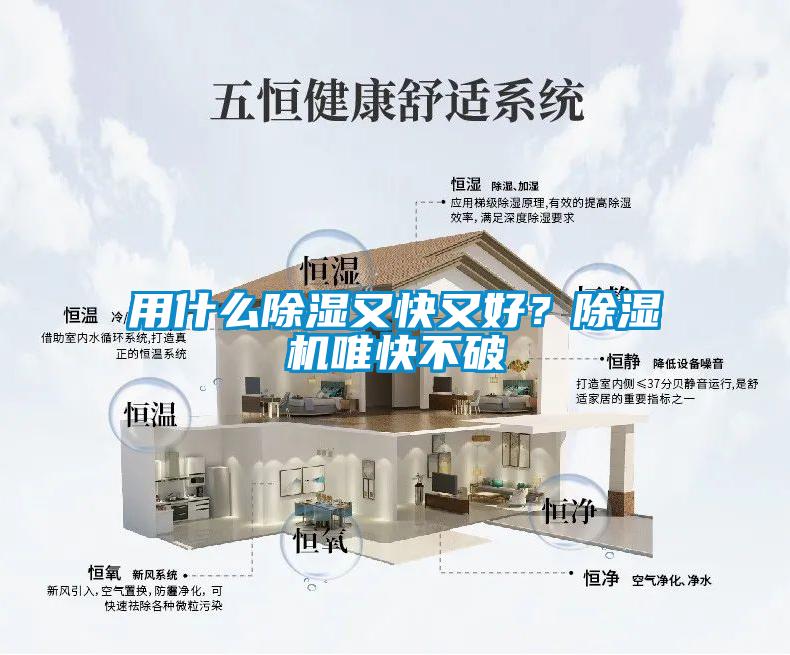 用什么除濕又快又好？除濕機唯快不破