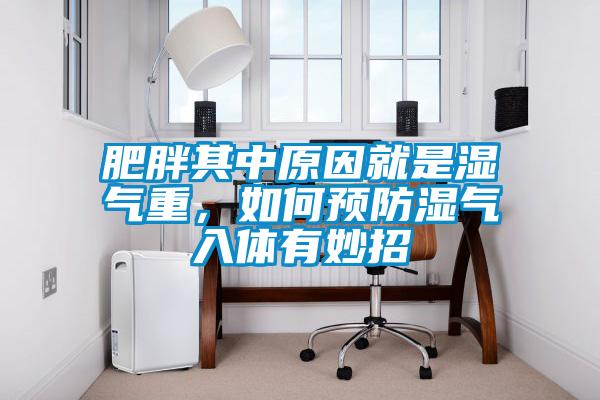 肥胖其中原因就是濕氣重，如何預防濕氣入體有妙招