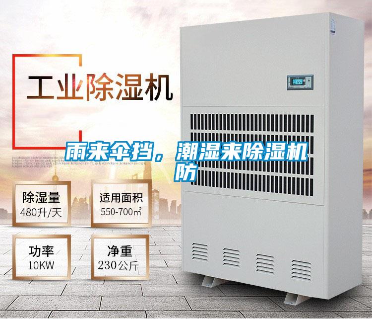 雨來傘擋，潮濕來除濕機防