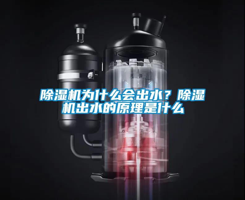 除濕機為什么會出水？除濕機出水的原理是什么