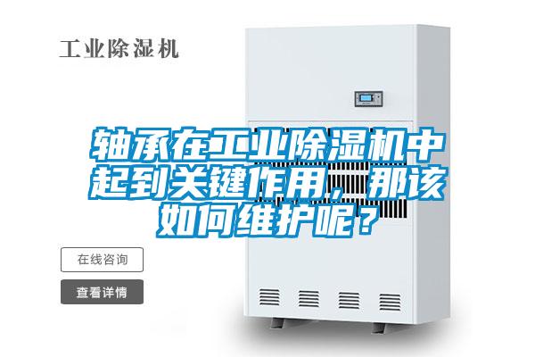 軸承在工業(yè)除濕機中起到關鍵作用，那該如何維護呢？