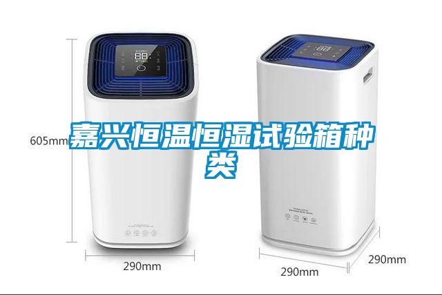 嘉興恒溫恒濕試驗(yàn)箱種類(lèi)