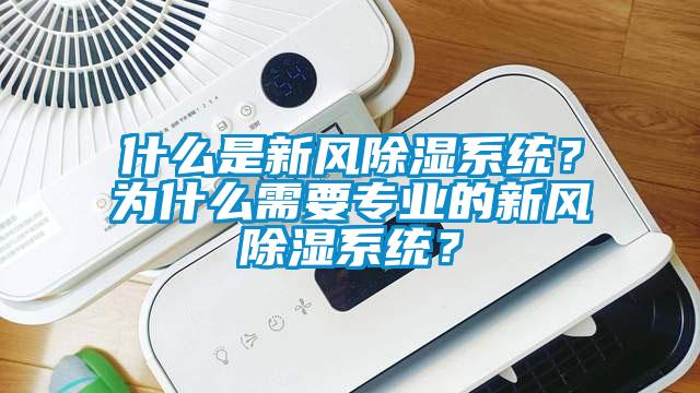 什么是新風除濕系統？為什么需要專業的新風除濕系統？