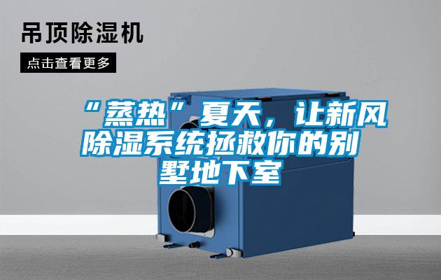 “蒸熱”夏天，讓新風除濕系統(tǒng)拯救你的別墅地下室