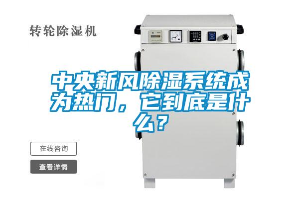 中央新風除濕系統成為熱門，它到底是什么？