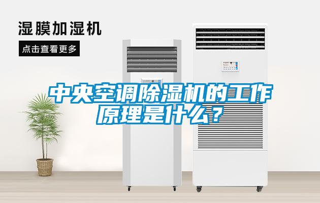 中央空調(diào)除濕機(jī)的工作原理是什么？