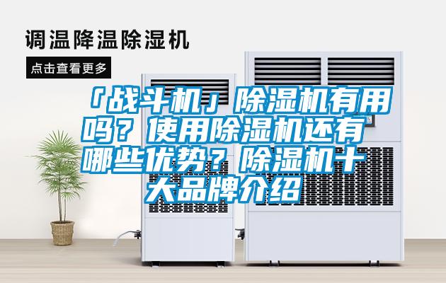 「戰斗機」除濕機有用嗎？使用除濕機還有哪些優勢？除濕機十大品牌介紹