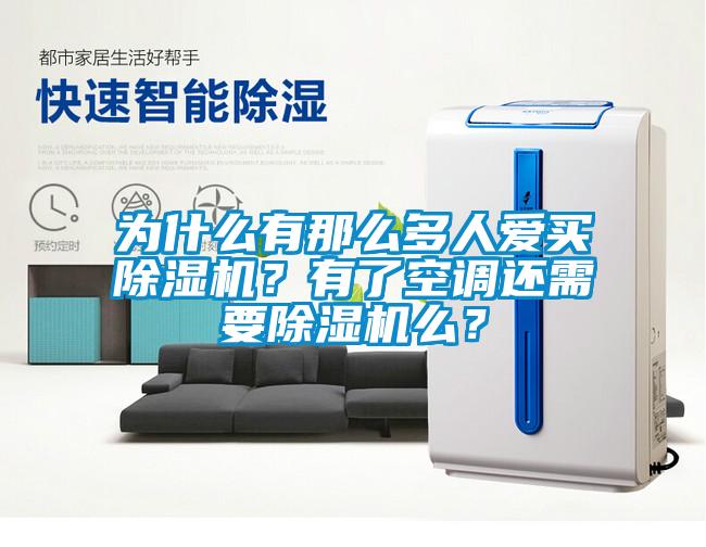 為什么有那么多人愛買除濕機？有了空調還需要除濕機么？