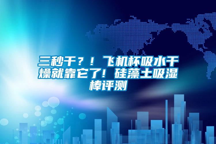 三秒干？! 飛機杯吸水干燥就靠它了! 硅藻土吸濕棒評測
