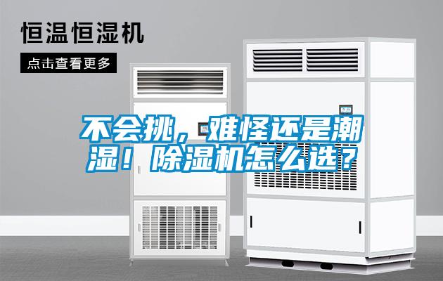 不會挑，難怪還是潮濕！除濕機怎么選？